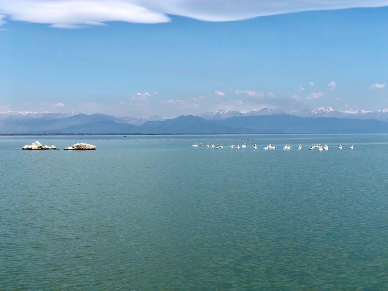 Skadar Lake Apartments Pajovic Virpazar Kültér fotó